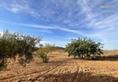Casa de camp amb terreny en venda a la España, Fuente Álamo, ref.: TR341647 foto