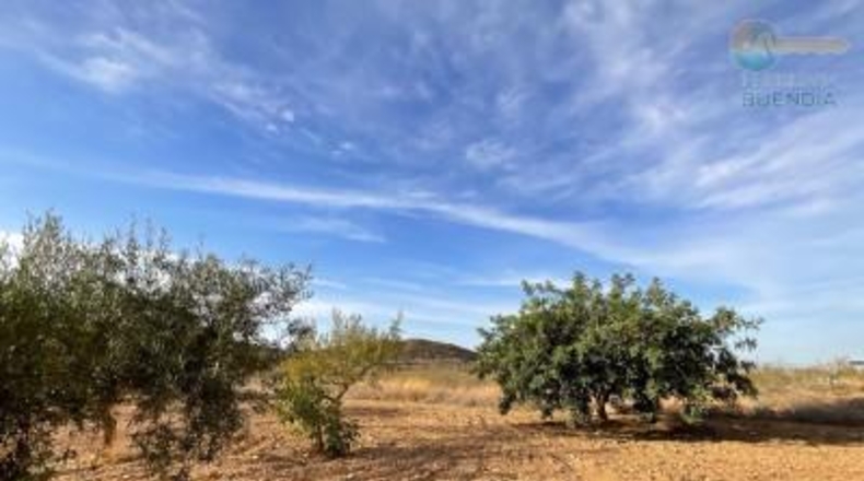 Murcia - Fuente Álamo de Murcia - 8909m2
