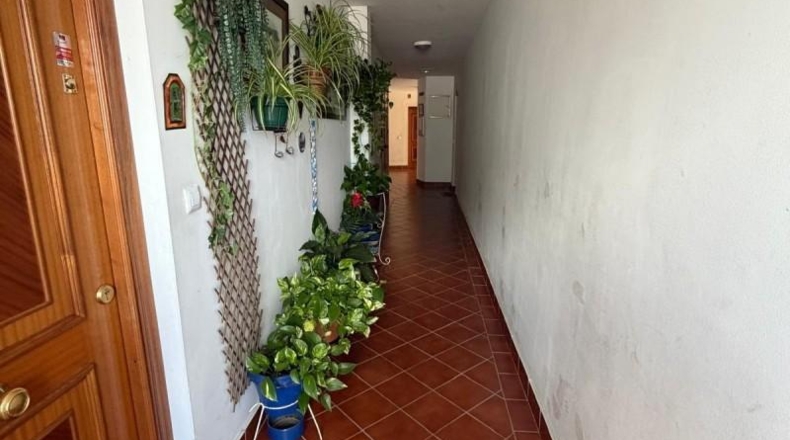 Sevilla - Burguillos - 301m2
