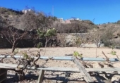 Земля на продажу у города Granadilla de Abona Фото