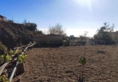 Земля на продажу у города Granadilla de Abona Фото