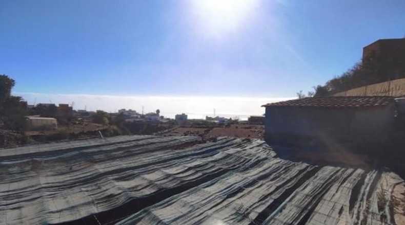Santa Creu de Tenerife - Granadilla de Abona - 3775m2