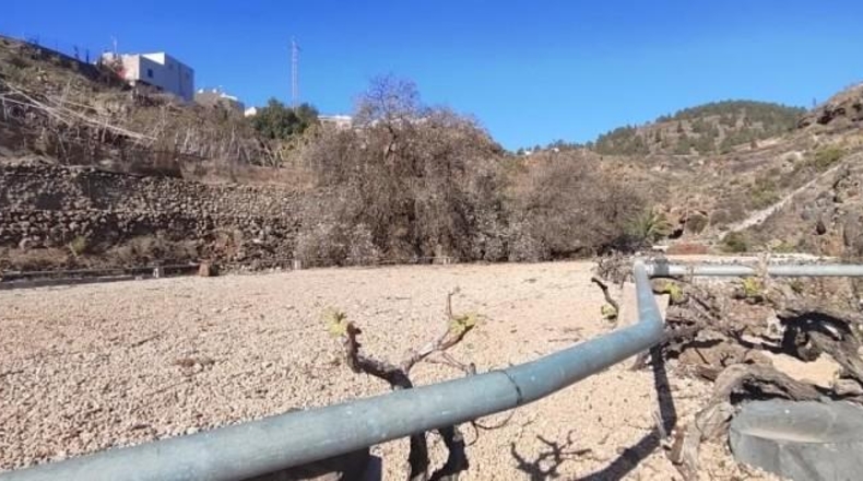 Santa Creu de Tenerife - Granadilla de Abona - 3775m2