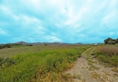 Земля на продажу у города Viñuela Фото