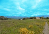 Земля на продажу у города Viñuela Фото