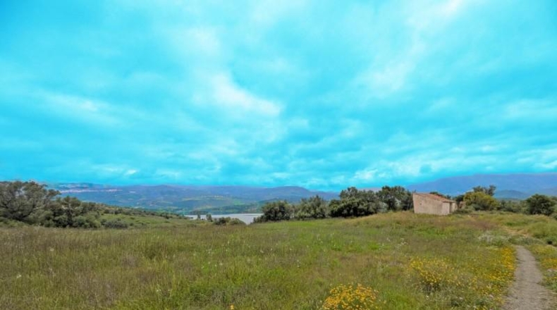 Málaga - Viñuela - 18537m2