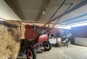 Foto 6