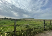 Отдельно стоящий дом с участком на продажу в городе Niebla Фото