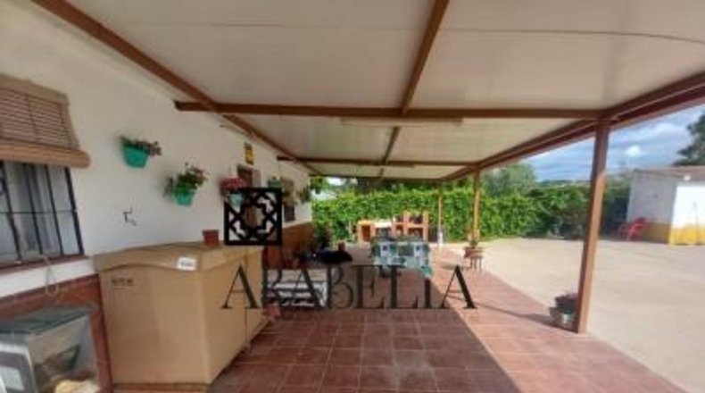 Córdoba - Córdoba - 1800m2