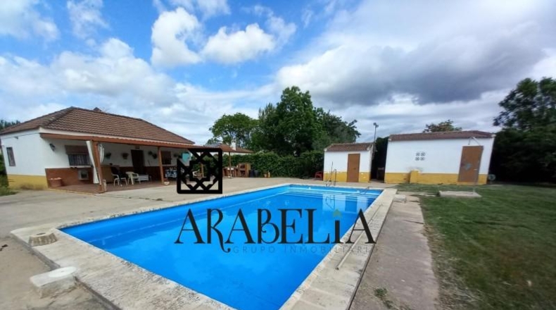 Córdoba - Córdoba - 1800m2