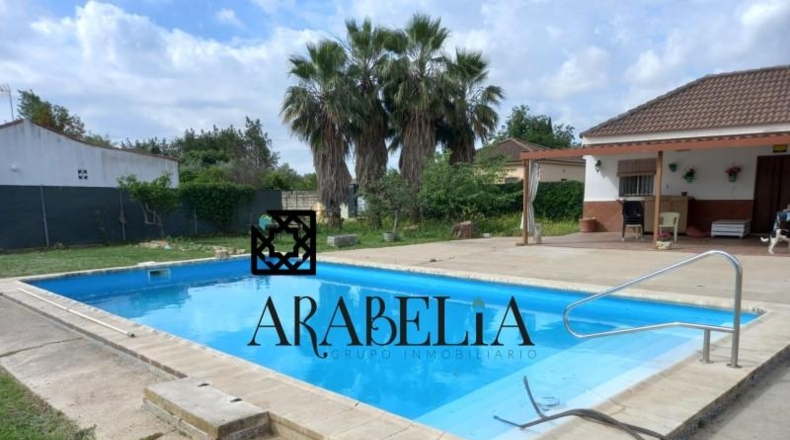 Córdoba - Córdoba - 1800m2