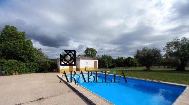 Córdoba - Córdoba - 1800m2