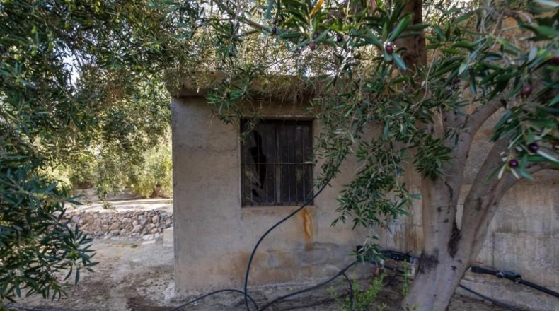 Granada - Talará - 15000m2