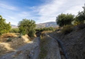 Non-developable land for sale on España, Talará, ref: TR407485 photo
