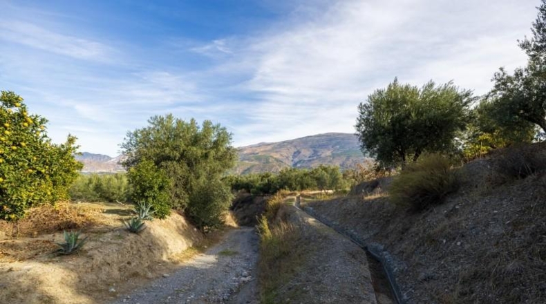 Granada - Talará - 15000m2