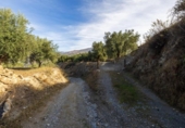 Non-developable land for sale on España, Talará, ref: TR407485 photo