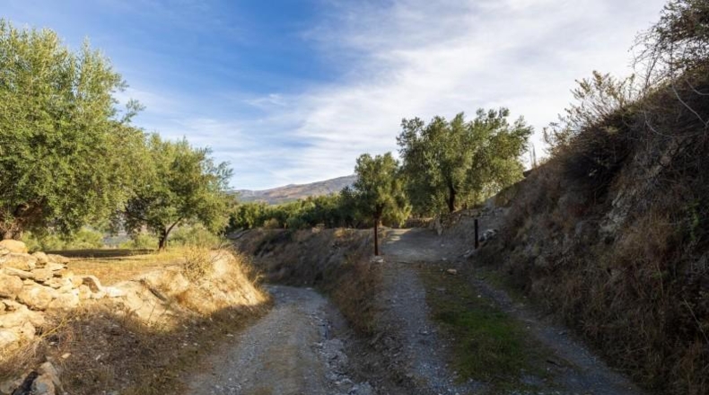 Granada - Talará - 15000m2