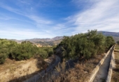 Non-developable land for sale on España, Talará, ref: TR407485 photo