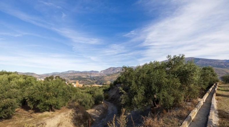 Granada - Talará - 15000m2