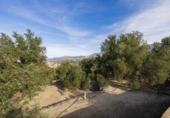 Non-developable land for sale on España, Talará, ref: TR407485 photo