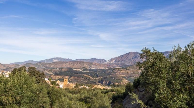 Granada - Talará - 15000m2