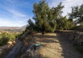 Non-developable land for sale on España, Talará, ref: TR407485 photo