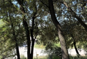 Sant Pere de Vilamajor 1350&nbsp;м²