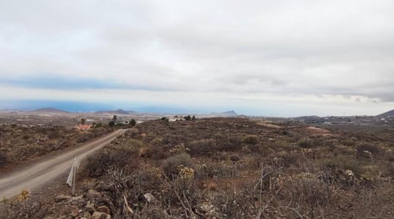 Santa Creu de Tenerife - Granadilla de Abona - 17600m2