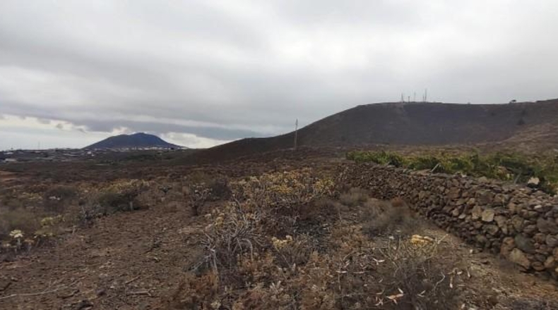 Santa Creu de Tenerife - Granadilla de Abona - 17600m2