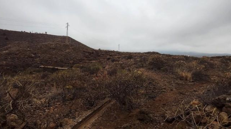 Santa Creu de Tenerife - Granadilla de Abona - 17600m2