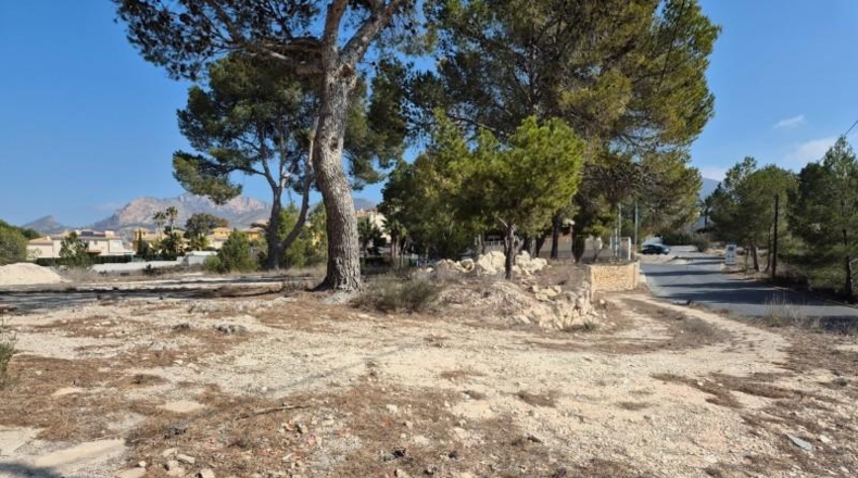 Alicante - Petrer - 1729m2