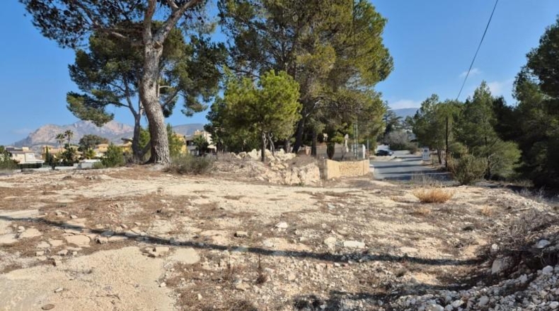 Alicante - Petrer - 1729m2