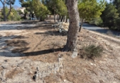 Sòl urbà en venda a la España, Petrer, ref.: TR407501 foto