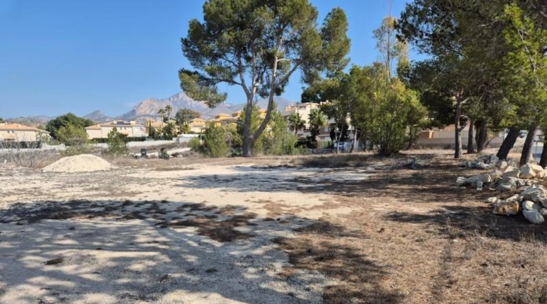 Alicante - Petrer - 1729m2