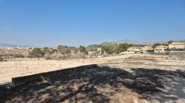 Alicante - Petrer - 1729m2