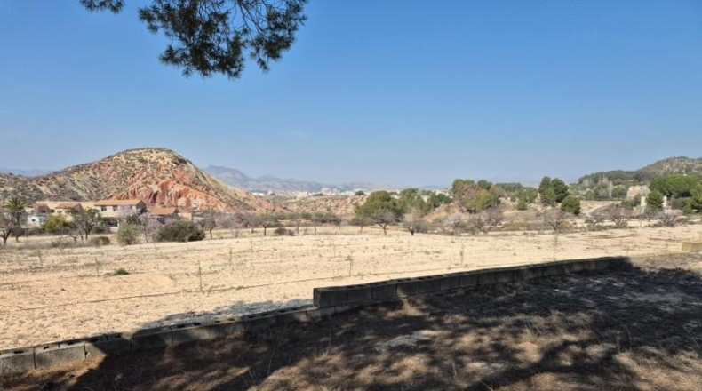 Alicante - Petrer - 1729m2