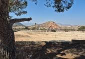 Sòl urbà en venda a la España, Petrer, ref.: TR407501 foto
