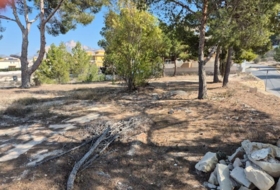 Foto 14