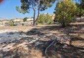 Sòl urbà en venda a la España, Petrer, ref.: TR407501 foto