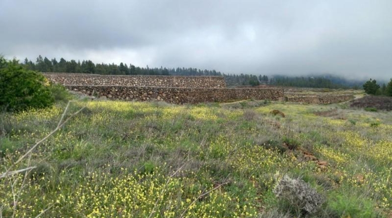 Santa Creu de Tenerife - Vilaflor - 34471m2