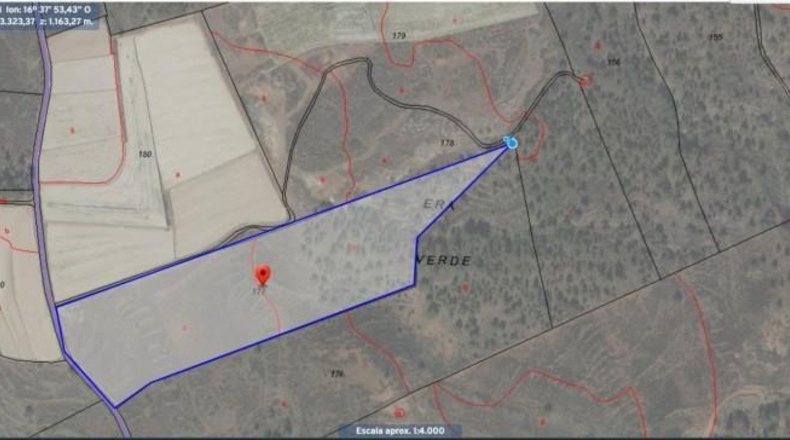 Santa Creu de Tenerife - Vilaflor - 34471m2