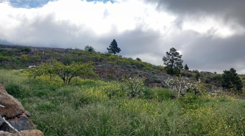 Santa Creu de Tenerife - Vilaflor - 34471m2