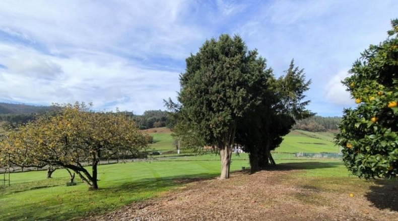 Asturias - Lazana - 2752m2
