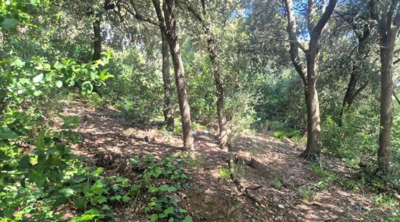 Barcelona - Sant Cugat del Vallès - 378m2