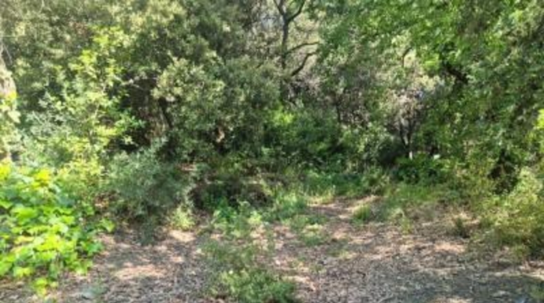 Barcelona - Sant Cugat del Vallès - 378m2