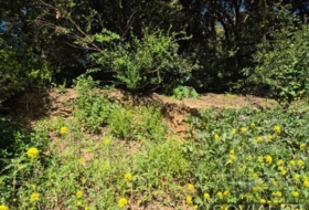 Sant Cugat del Vallès 378&nbsp;m² 