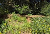 Sòl urbà en venda a la España, Sant Cugat del Vallès, ref.: TR404408 foto