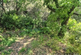 Sant Cugat del Vallès 378&nbsp;m² 