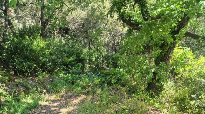 Barcelona - Sant Cugat del Vallès - 378m2