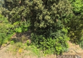 Sòl urbà en venda a la España, Sant Cugat del Vallès, ref.: TR404408 foto